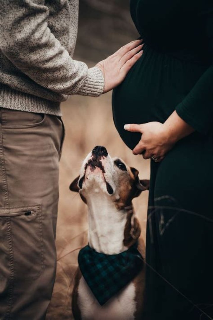 Age, Biography, Pregnancy, Husband, And More